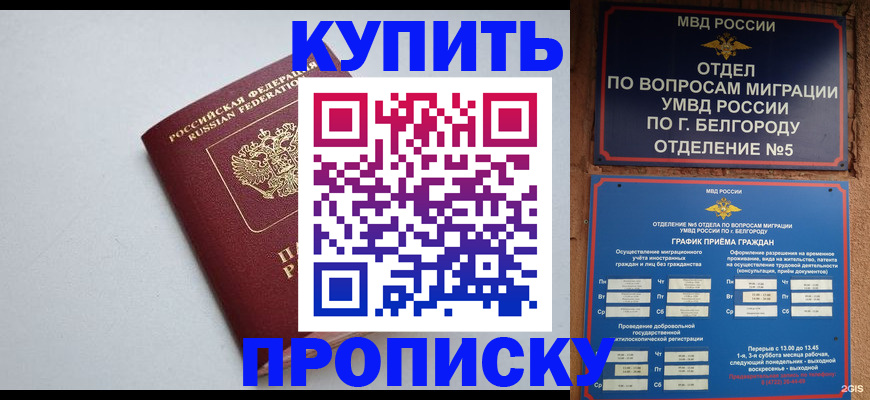 прописка регистрация в Малой Вишере